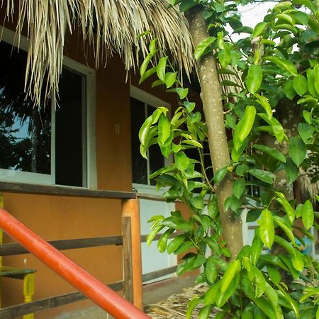 Posada La Huerta Mazunte Exteriér fotografie